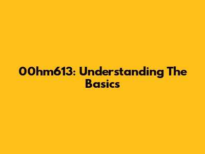 00hm613: Understanding The Basics