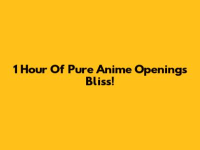 1 Hour Of Pure Anime Openings Bliss!
