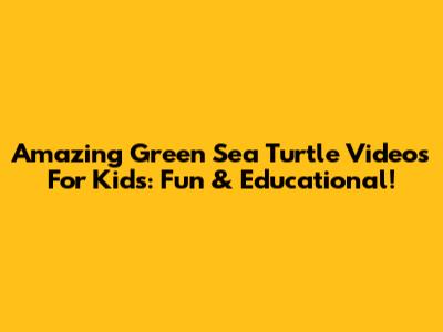 Amazing Green Sea Turtle Videos For Kids: Fun & Educational!