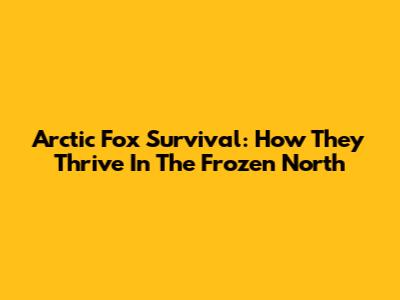 Arctic Fox Survival: How They Thrive In The Frozen North