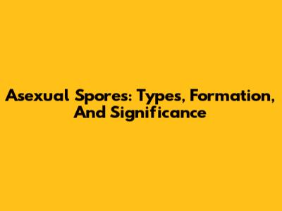 Asexual Spores: Types, Formation, And Significance