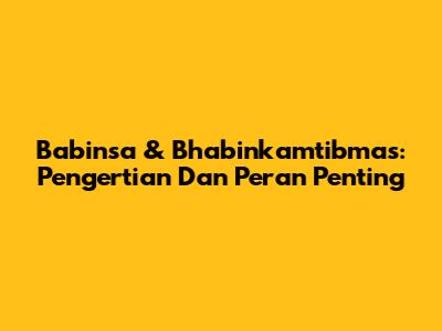 Babinsa & Bhabinkamtibmas: Pengertian Dan Peran Penting