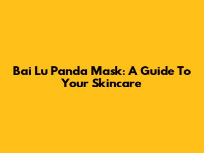 Bai Lu Panda Mask: A Guide To Your Skincare