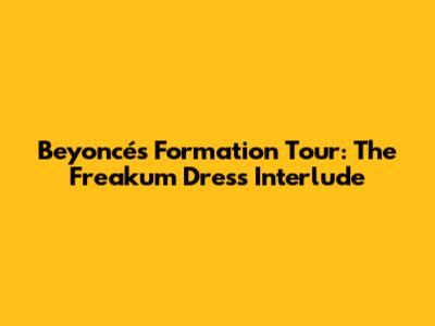 Beyoncé's Formation Tour: The 'Freakum Dress' Interlude