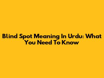 Blind Spot Meaning In Urdu: What You Need To Know