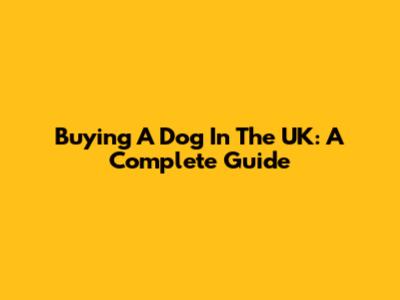 Buying A Dog In The UK: A Complete Guide