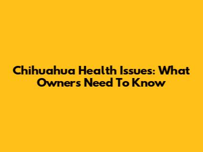Chihuahua Health Issues: What Owners Need To Know