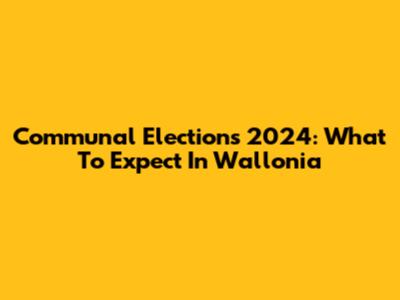 Communal Elections 2024: What To Expect In Wallonia