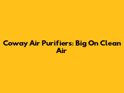 Coway Air Purifiers: Big On Clean Air