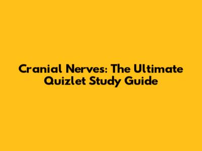 Cranial Nerves: The Ultimate Quizlet Study Guide