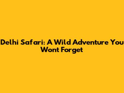 Delhi Safari: A Wild Adventure You Won't Forget