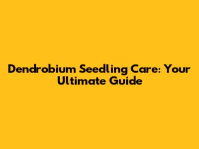 Dendrobium Seedling Care: Your Ultimate Guide