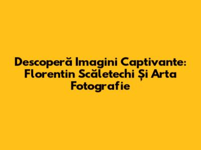 Descoperă Imagini Captivante: Florentin Scăletechi Și Arta Fotografie
