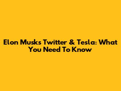 Elon Musk's Twitter & Tesla: What You Need To Know