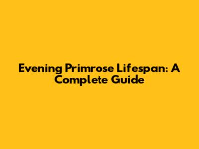 Evening Primrose Lifespan: A Complete Guide
