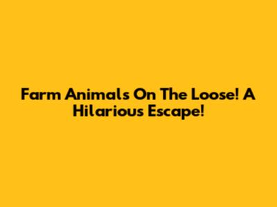 Farm Animals On The Loose! A Hilarious Escape!