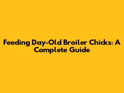 Feeding Day-Old Broiler Chicks: A Complete Guide