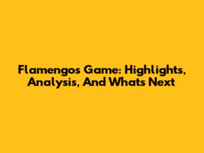 Flamengo's Game: Highlights, Analysis, And What's Next