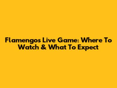 Flamengo's Live Game: Where To Watch & What To Expect