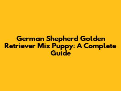 German Shepherd Golden Retriever Mix Puppy: A Complete Guide