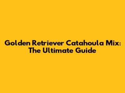 Golden Retriever Catahoula Mix: The Ultimate Guide