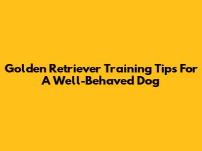Golden Retriever Training Tips For A Well-Behaved Dog