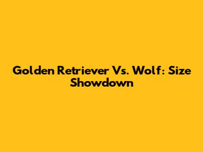 Golden Retriever Vs. Wolf: Size Showdown