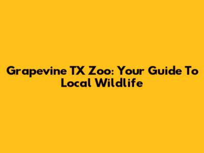 Grapevine TX Zoo: Your Guide To Local Wildlife