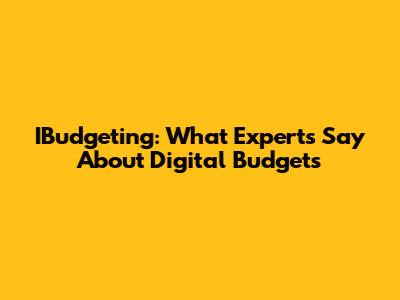 IBudgeting: What Experts Say About Digital Budgets