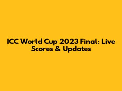 ICC World Cup 2023 Final: Live Scores & Updates