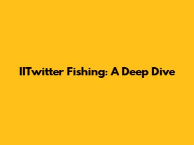 IITwitter Fishing: A Deep Dive