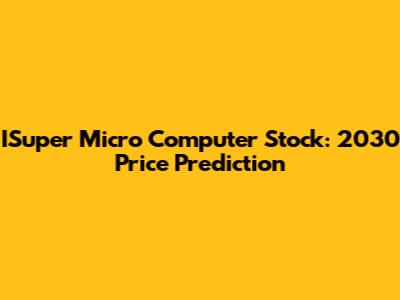 ISuper Micro Computer Stock: 2030 Price Prediction