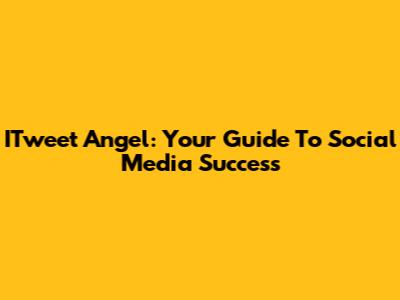 ITweet Angel: Your Guide To Social Media Success