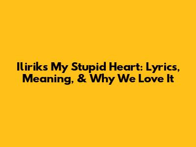 Ilirik's 'My Stupid Heart': Lyrics, Meaning, & Why We Love It