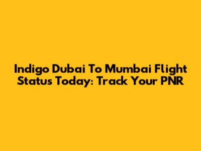 Indigo Dubai To Mumbai Flight Status Today: Track Your PNR