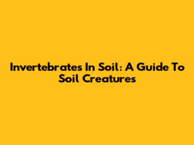 Invertebrates In Soil: A Guide To Soil Creatures
