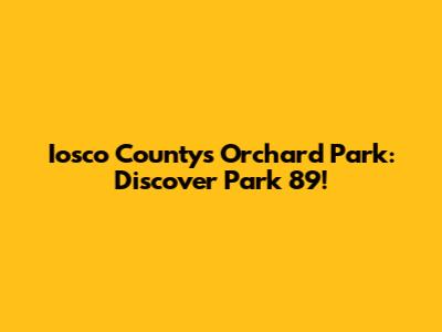 Iosco County's Orchard Park: Discover Park 89!