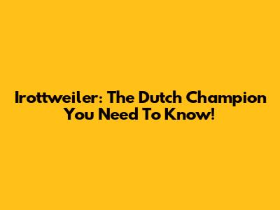 Irottweiler: The Dutch Champion You Need To Know!