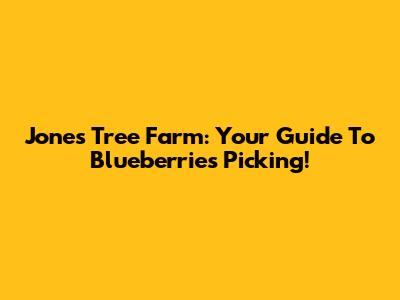 Jones Tree Farm: Your Guide To Blueberries Picking!