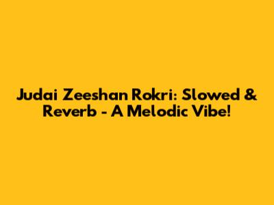 Judai Zeeshan Rokri:  Slowed & Reverb -  A Melodic Vibe!