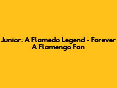 Junior: A Flamedo Legend - Forever A Flamengo Fan