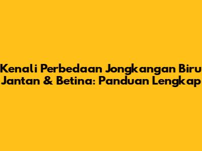 Kenali Perbedaan Jongkangan Biru Jantan & Betina: Panduan Lengkap