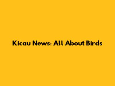 Kicau News: All About Birds