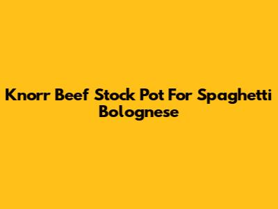 Knorr Beef Stock Pot For Spaghetti Bolognese