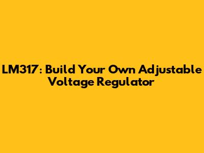 LM317: Build Your Own Adjustable Voltage Regulator