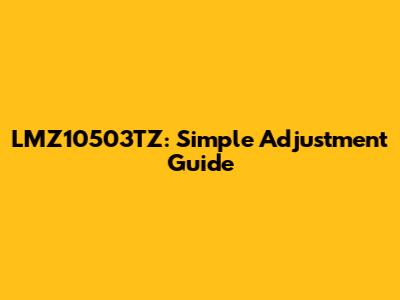 LMZ10503TZ: Simple Adjustment Guide