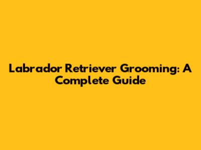 Labrador Retriever Grooming: A Complete Guide