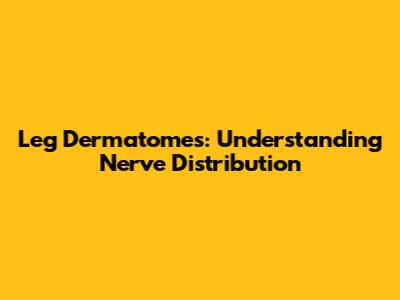 Leg Dermatomes: Understanding Nerve Distribution