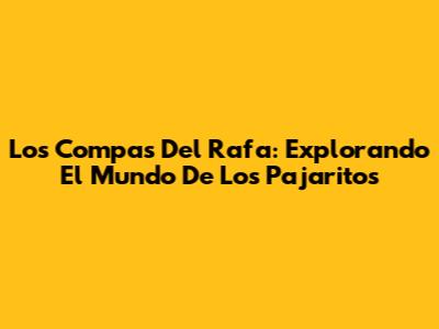 Los Compas Del Rafa: Explorando El Mundo De 'Los Pajaritos'