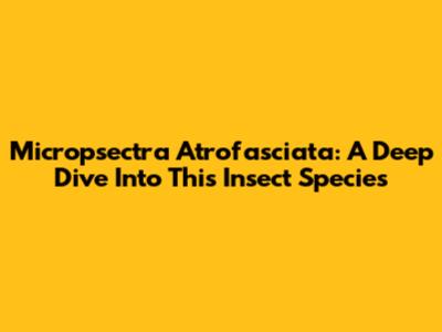 Micropsectra Atrofasciata: A Deep Dive Into This Insect Species